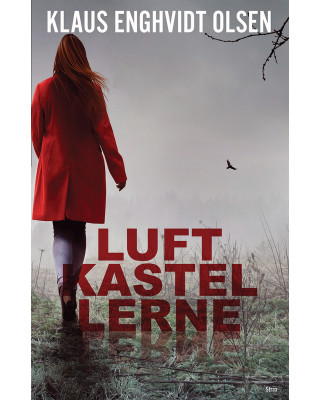 Luftkastellerne - E-bog