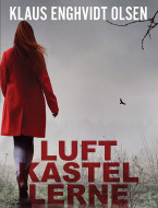 Luftkastellerne - E-bog